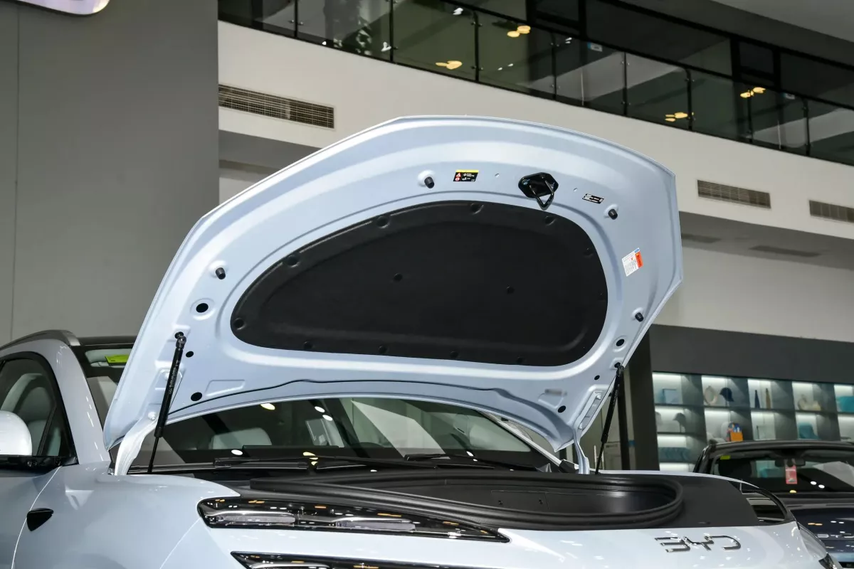 BYD Sea Lion 06 2026